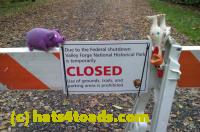 /home//u458753944/public_html/sourcegallery//Chickens/Valley Forge/IMAG0086.jpg